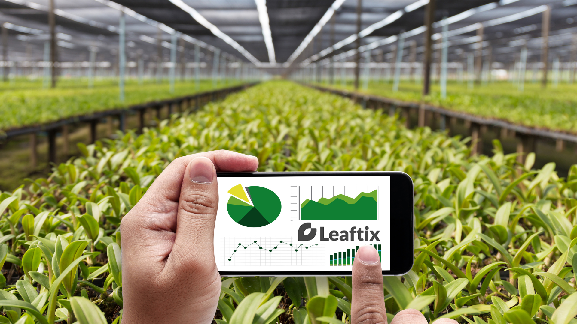 Leaftix